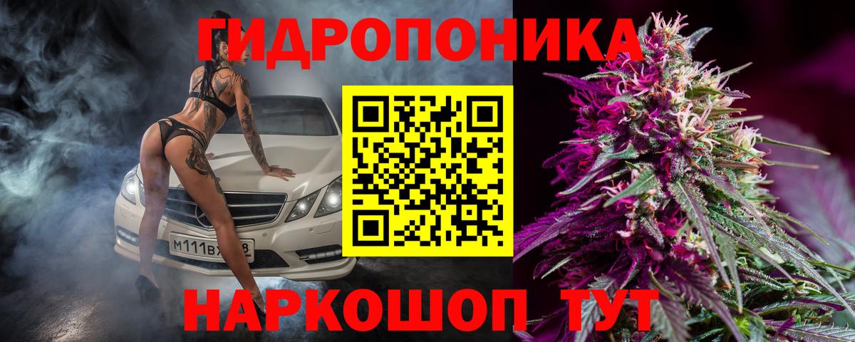 Алексин  Бошки марихуана VHQ  Бошки марихуана Bruce Banner  Вход с VPN 